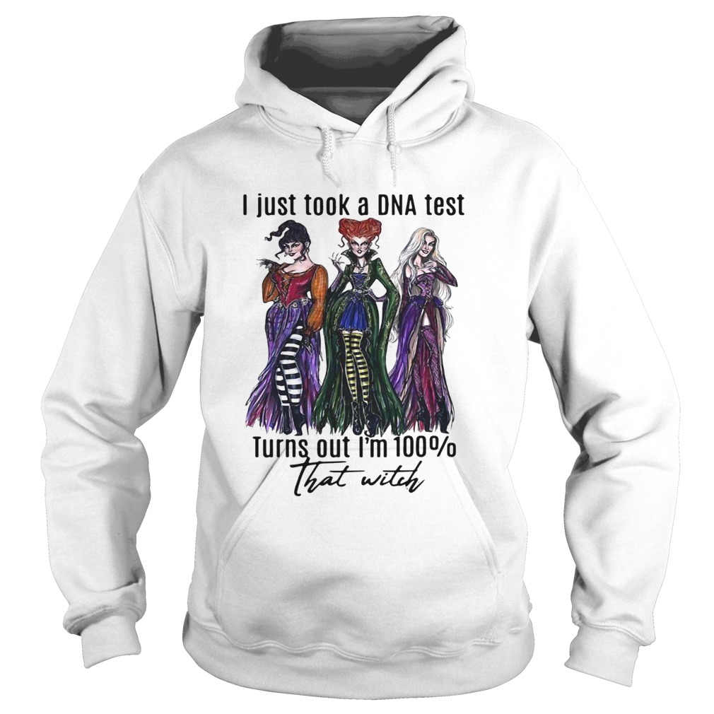 Hocus Pocus I just took a DNA test turns out Im 100 that witch Halloween Hoodie