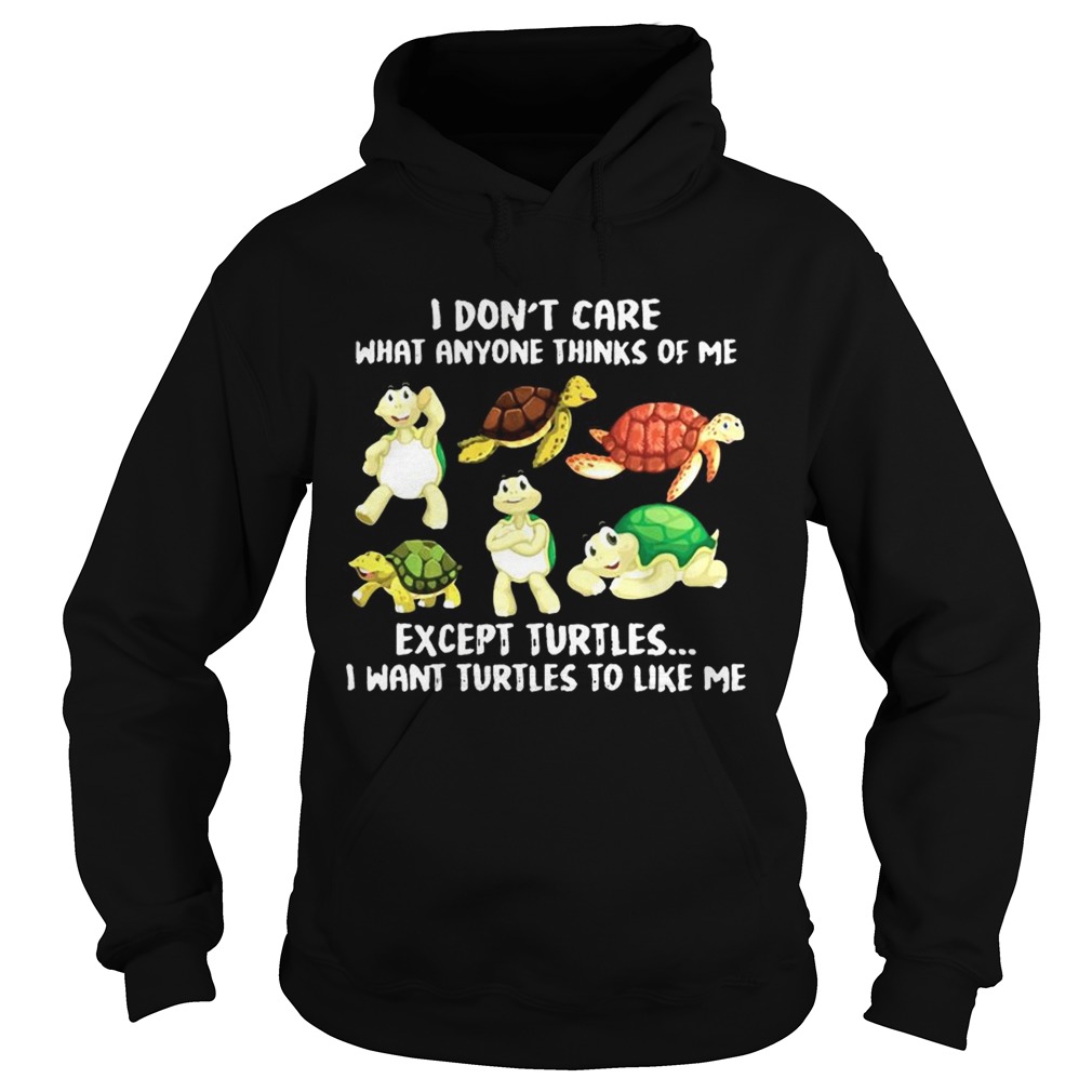 I Dont Care What Anyone Thinks Of Me Except Turtles I Want Turtles To Like Me Hoodie