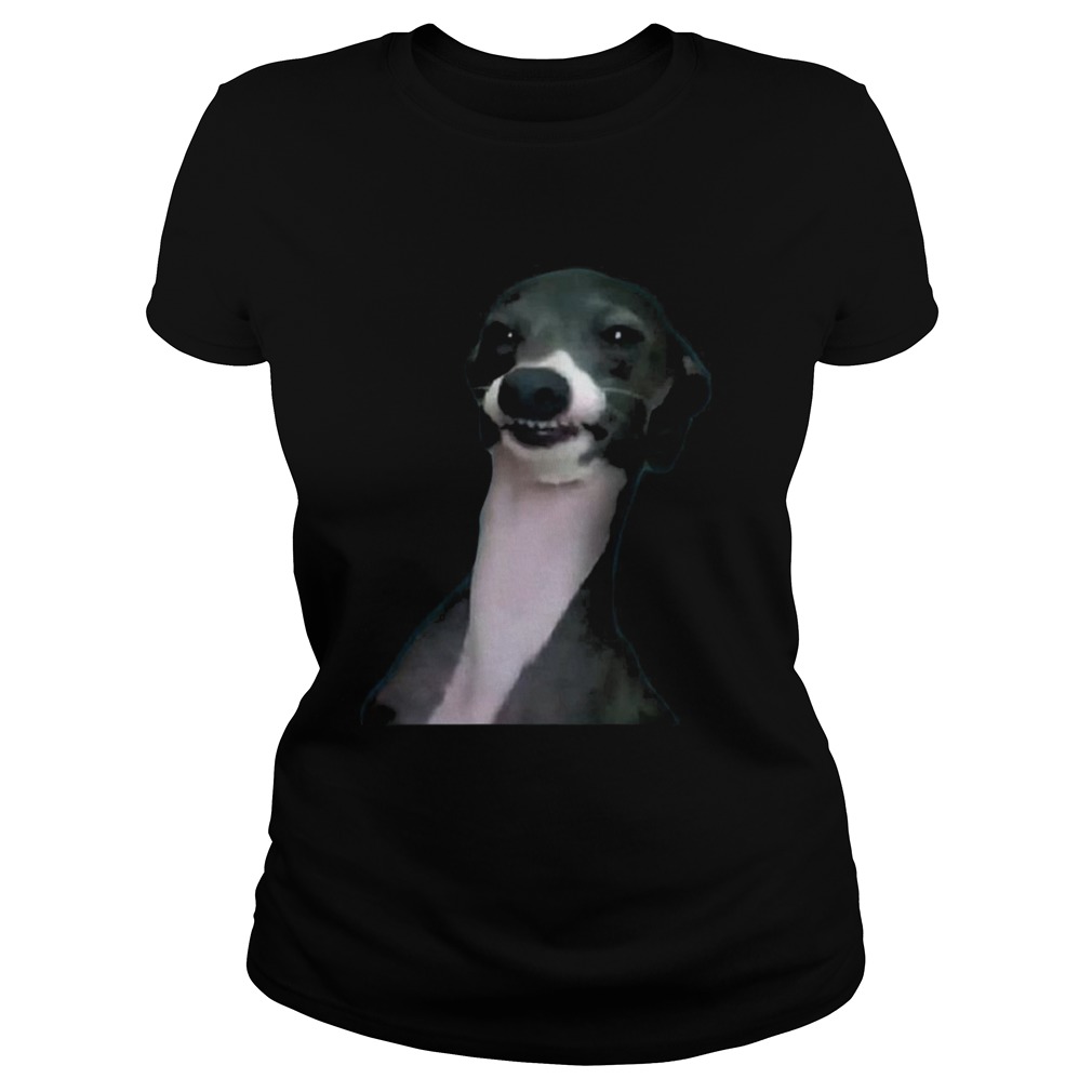 Jenna Marbles Dog Kermit Shirt Classic Ladies