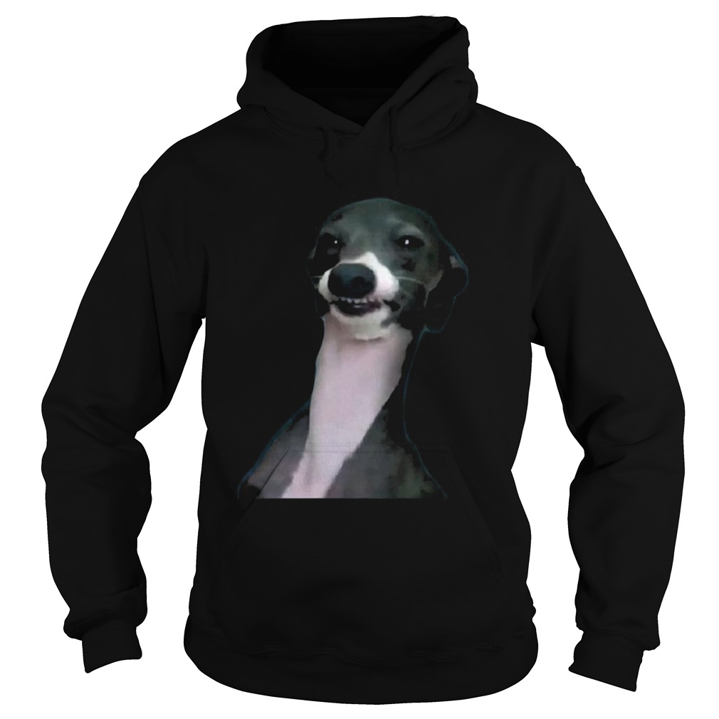 Jenna Marbles Dog Kermit Shirt Hoodie