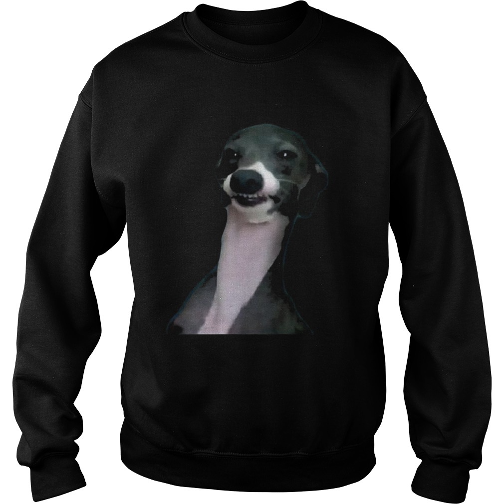 Jenna Marbles Dog Kermit Shirt Sweatshirt