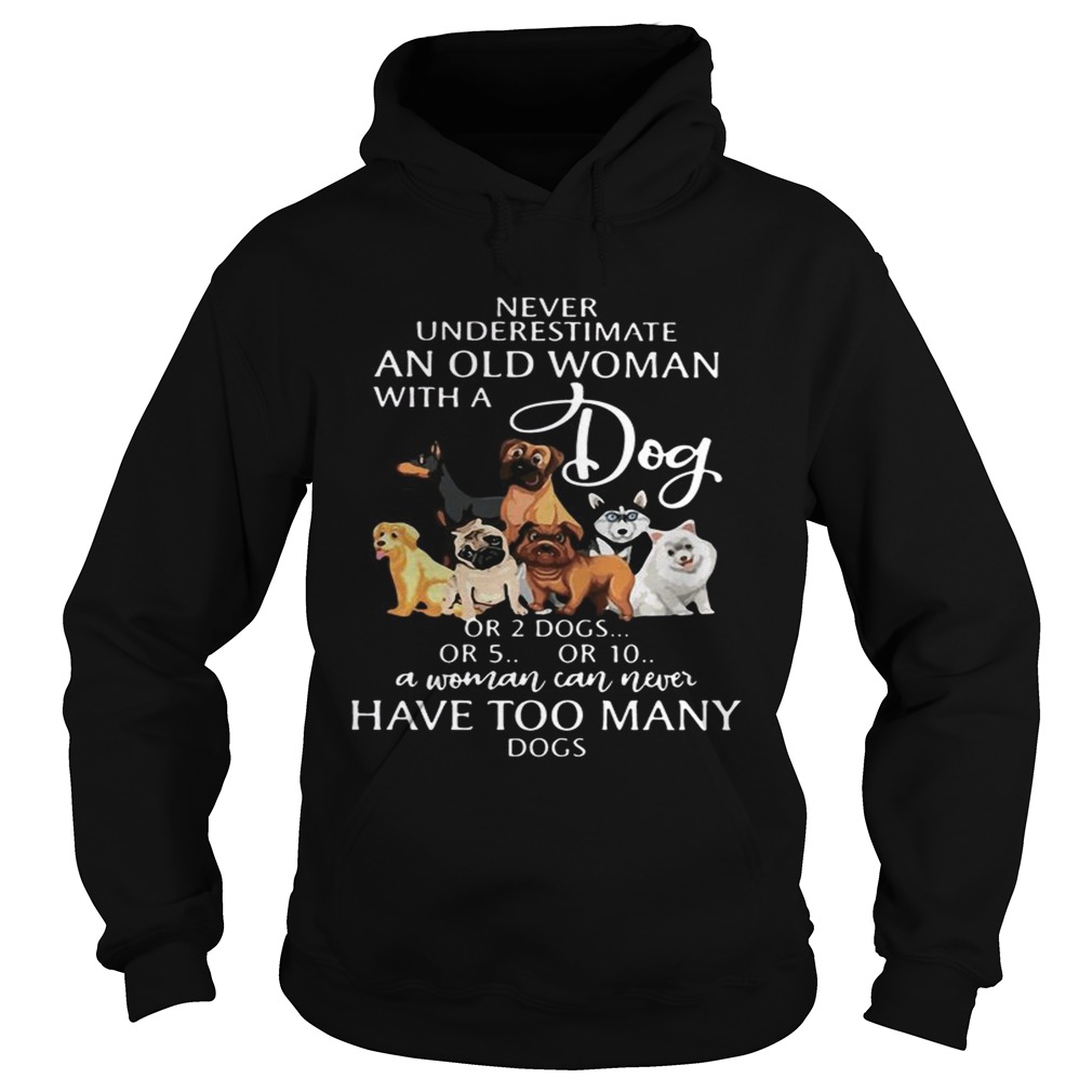 Never underestimate an old woman with a dog Hoodie