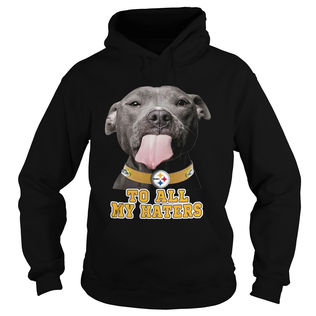 Pitbull to all my haters Pittsburgh Steelers Hoodie