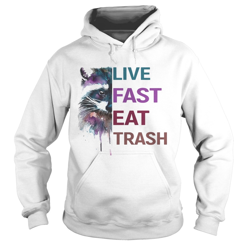 Water Color Raccoon Live Fast Eat Trash Shirt Hoodie