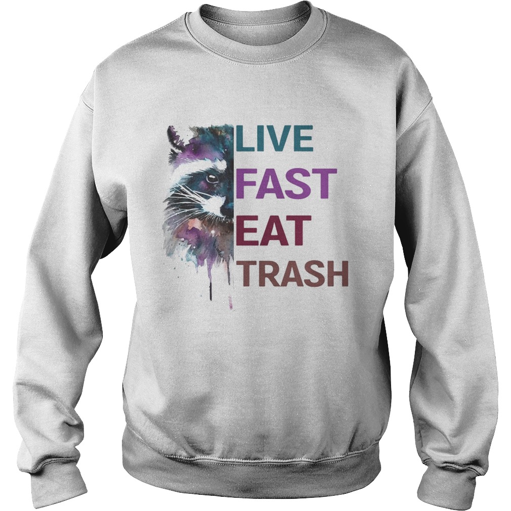 Water Color Raccoon Live Fast Eat Trash Shirt Sweatshirt