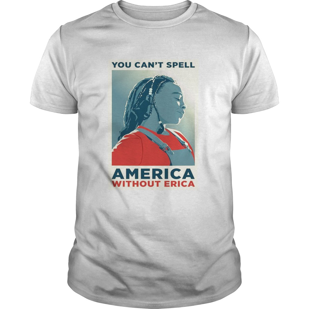 You can not spell america without erica tshirt