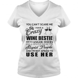 You cant scare me I have a crazy wine bestie she has anger issues and a serious dislike for stupid Ladies Vneck