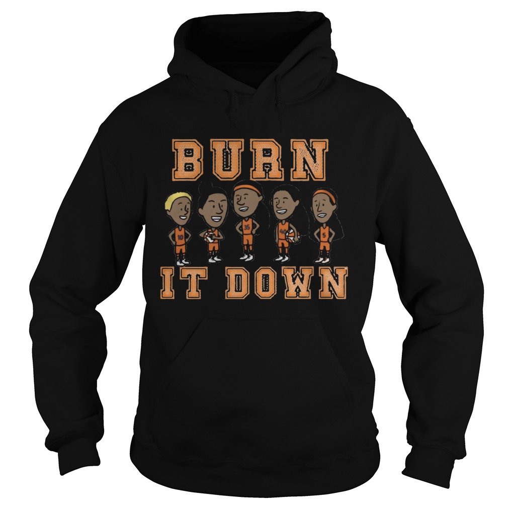 Burn It Down Shirt Hoodie