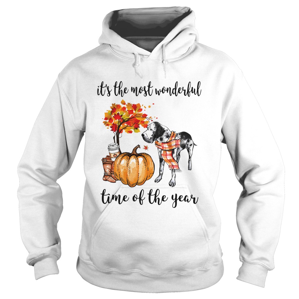 Dalmatian its the most wonderful time of the year Hoodie