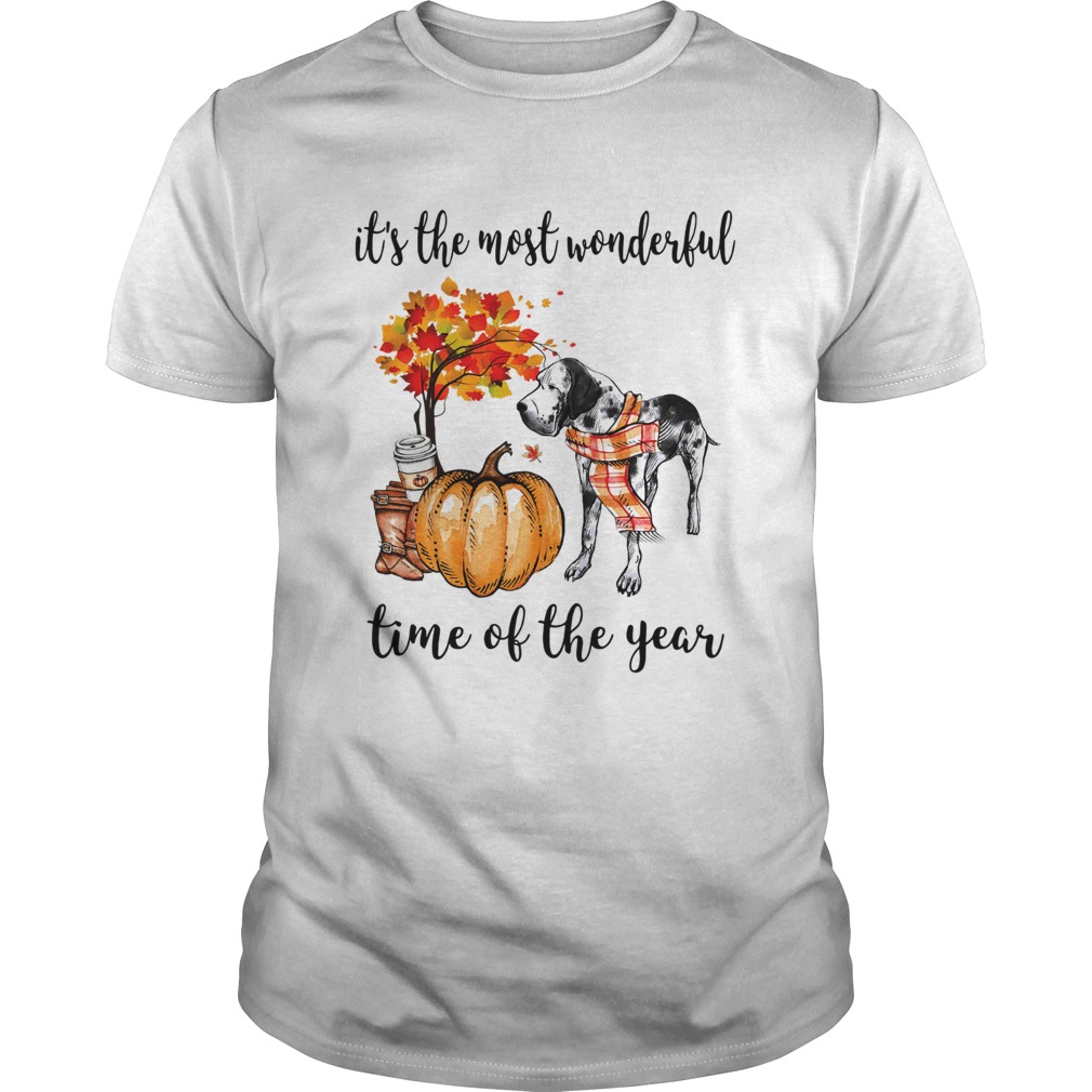 Dalmatian its the most wonderful time of the year shirt