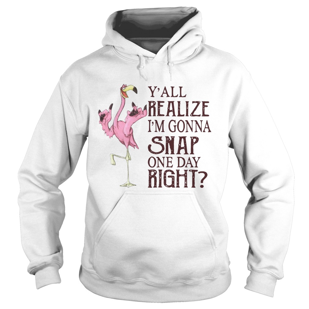 Flamingo Yall realize Im gonna snap one day right Hoodie