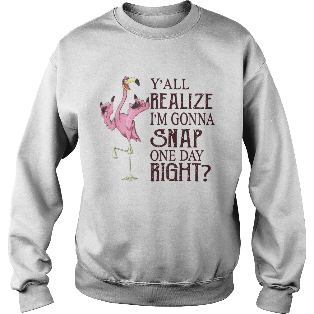Flamingo Yall realize Im gonna snap one day right Sweatshirt