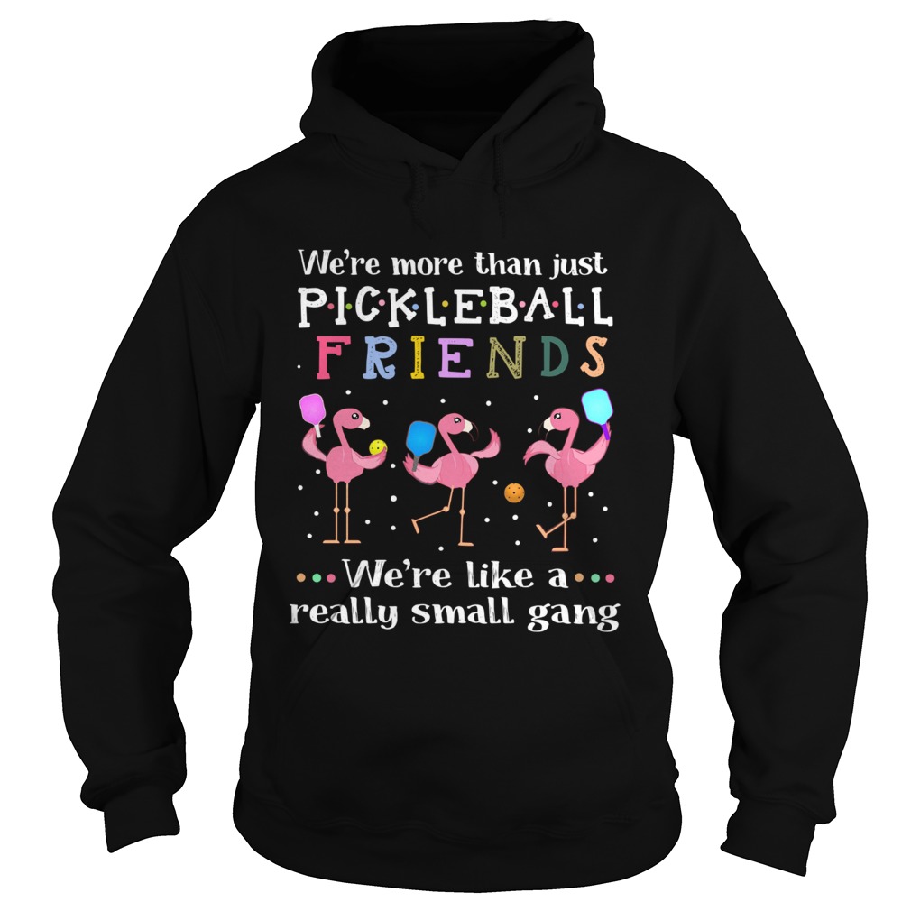 Flamingos were more than just pickleball Friends were like a really small gang Hoodie