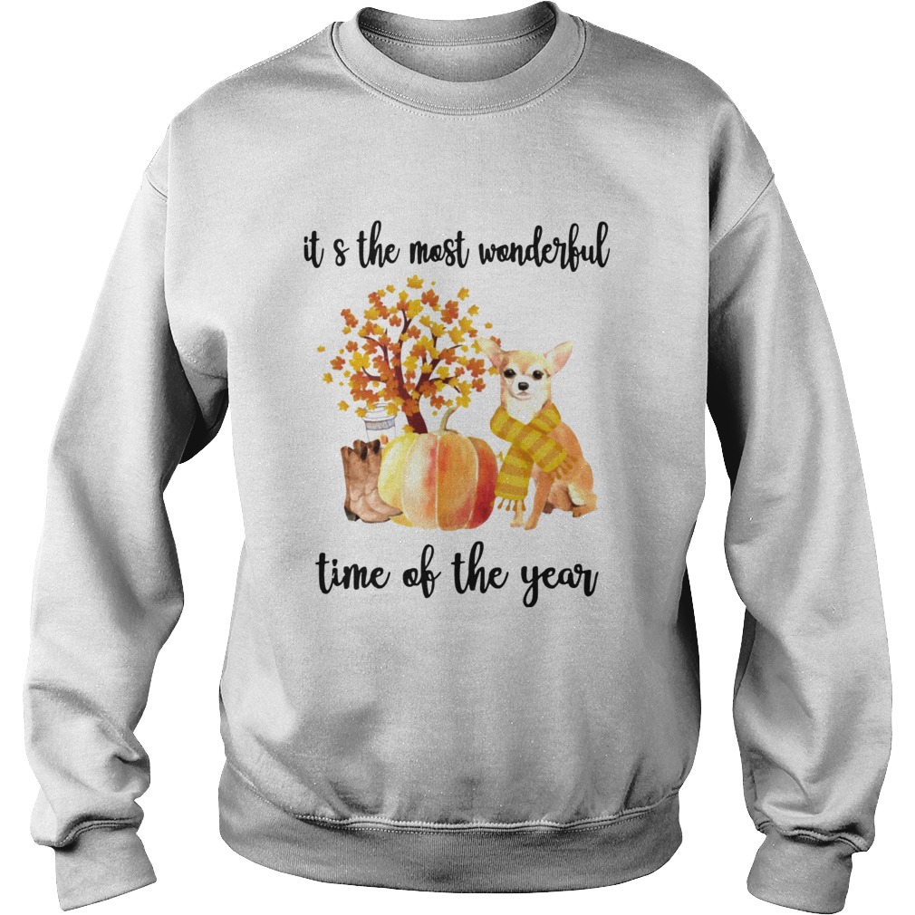 Halloween Chihuahua Its The Most Wonderful Time Of The Year Shirt Sweatshirt