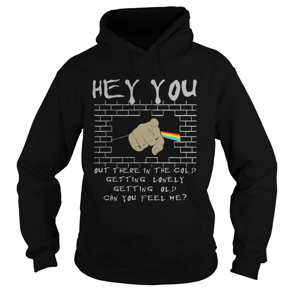 Hey you out there in the cold getting lonely Hoodie