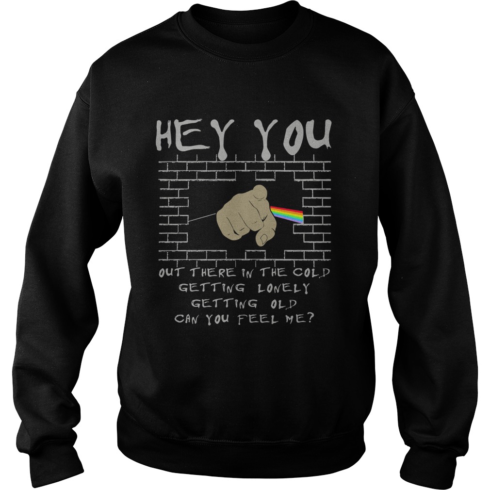 Hey you out there in the cold getting lonely Sweatshirt