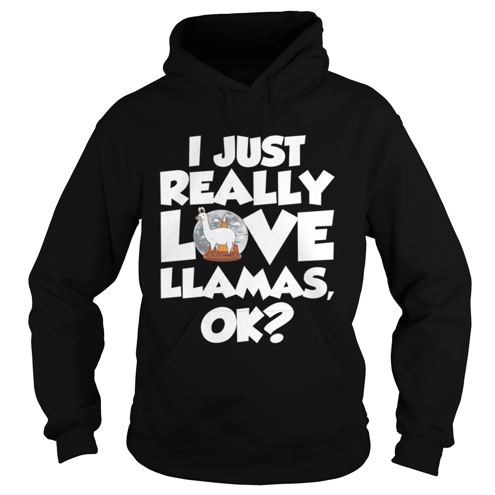 I Just Really Love Llamas Ok Funny Llama Saying Shirt Hoodie