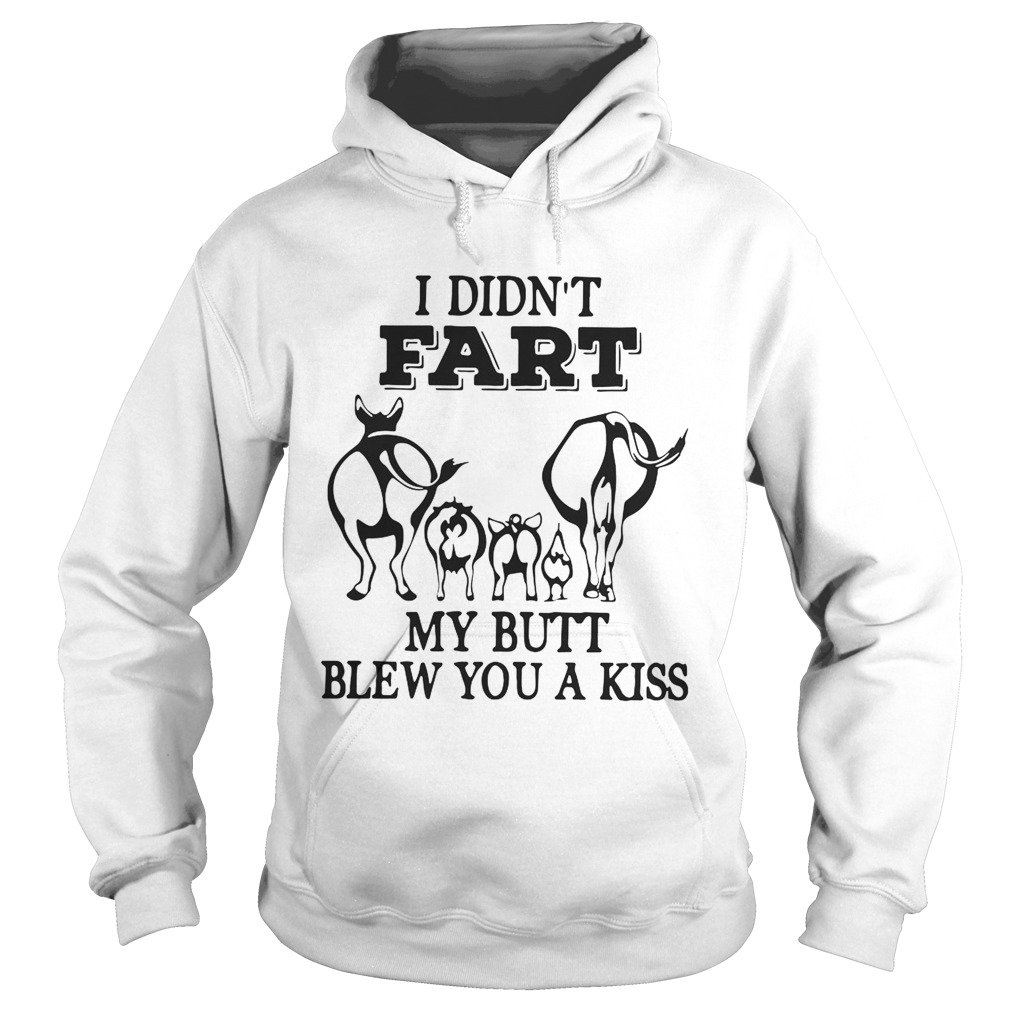 I didnt fart my butt blew you a kiss Hoodie