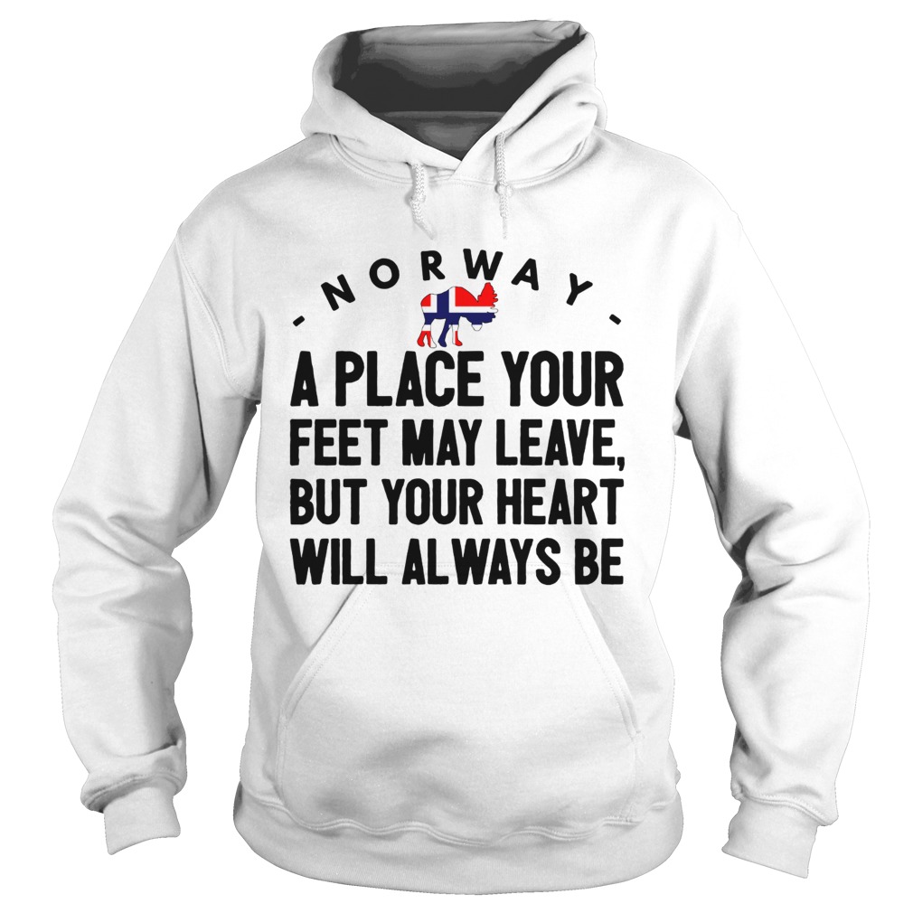 Norway a place your feet may leave Hoodie