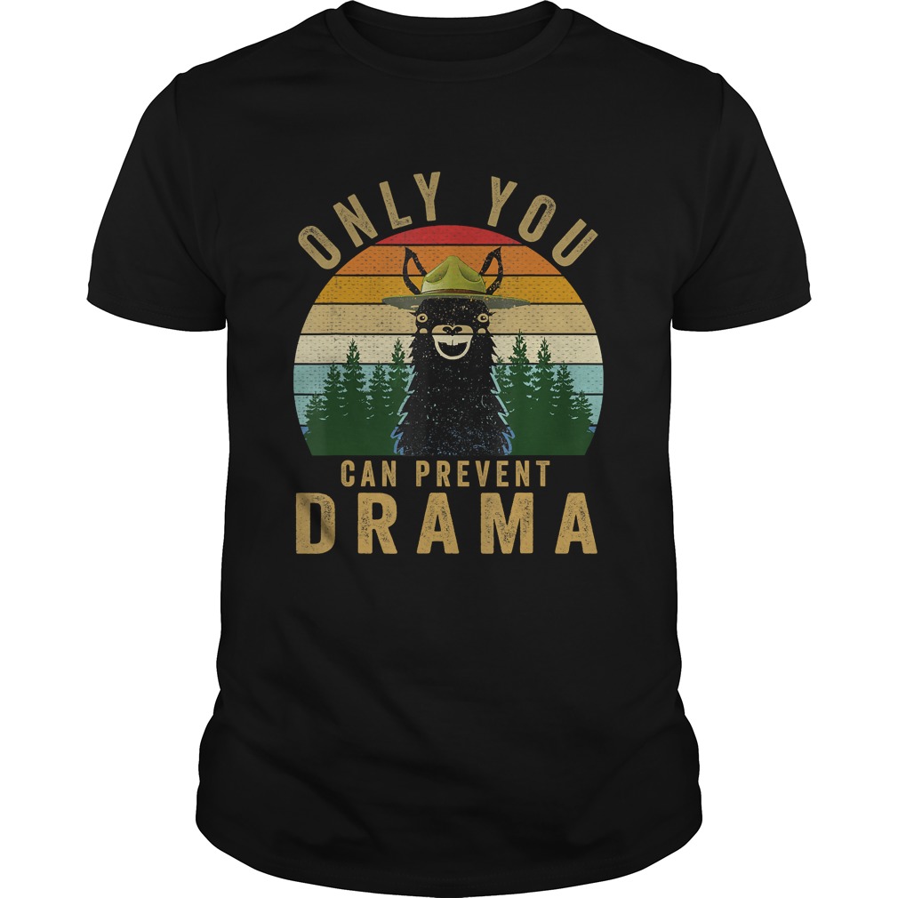Only you can prevent drama Llama Camping Vintage funny gift TShirt