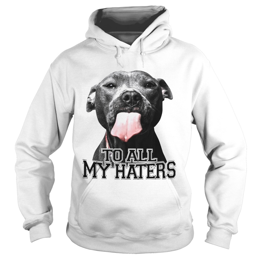 Pitbull to all my haters Hoodie