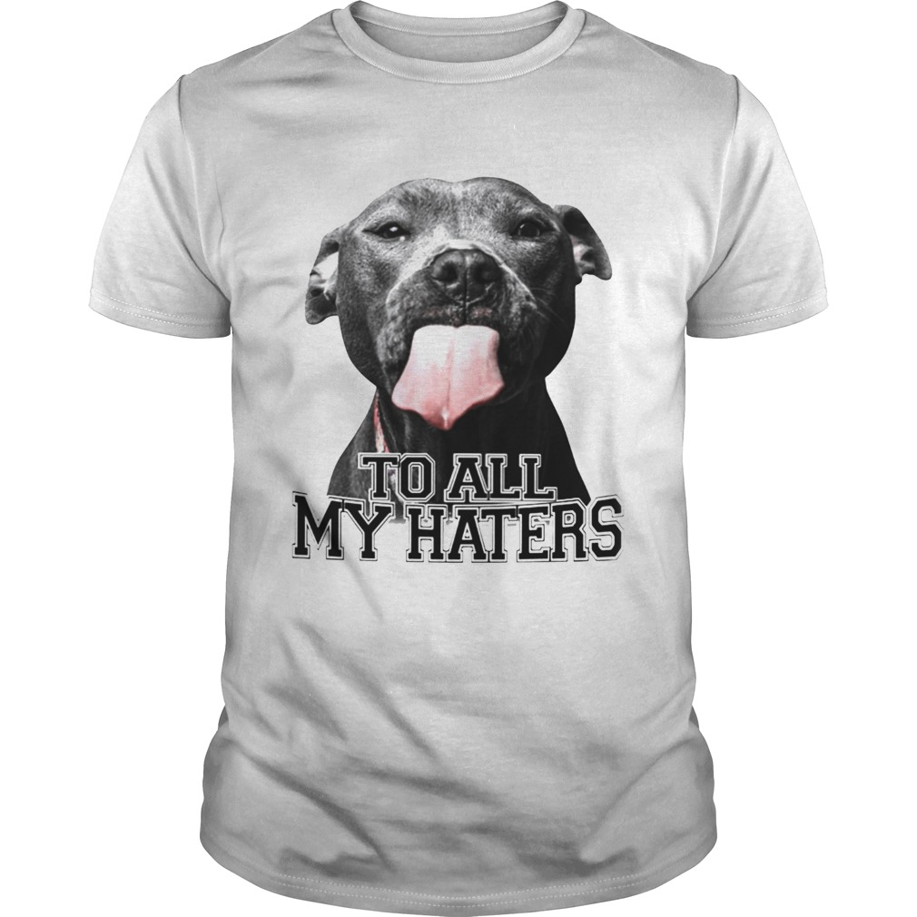 Pitbull to all my haters shirt