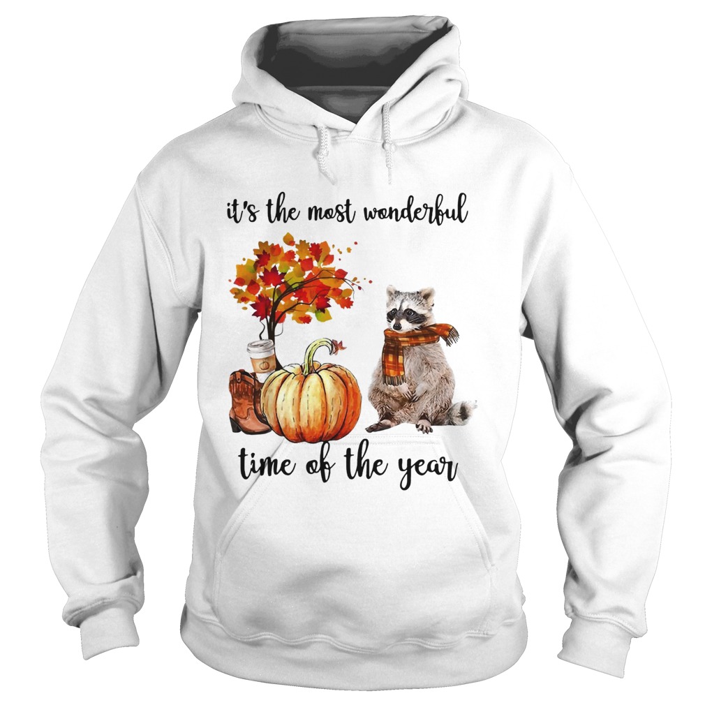Raccoon its the most wonderful time of the year Hoodie