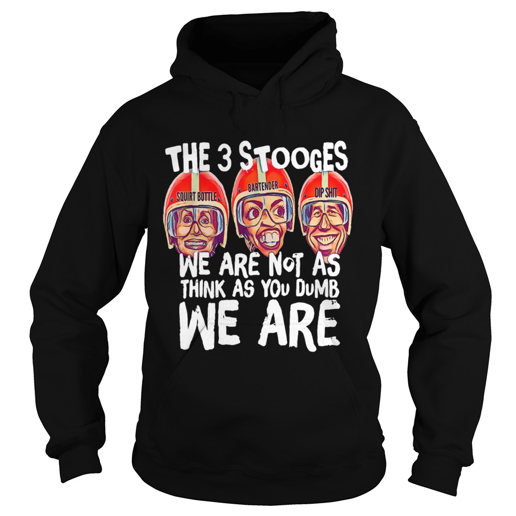 The 3 Stooges we are not as think as you dumb we are Hoodie
