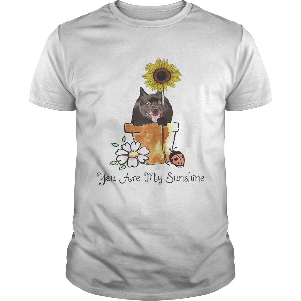 You Are My Sunshine Dog Lover Sunflower Tshirts