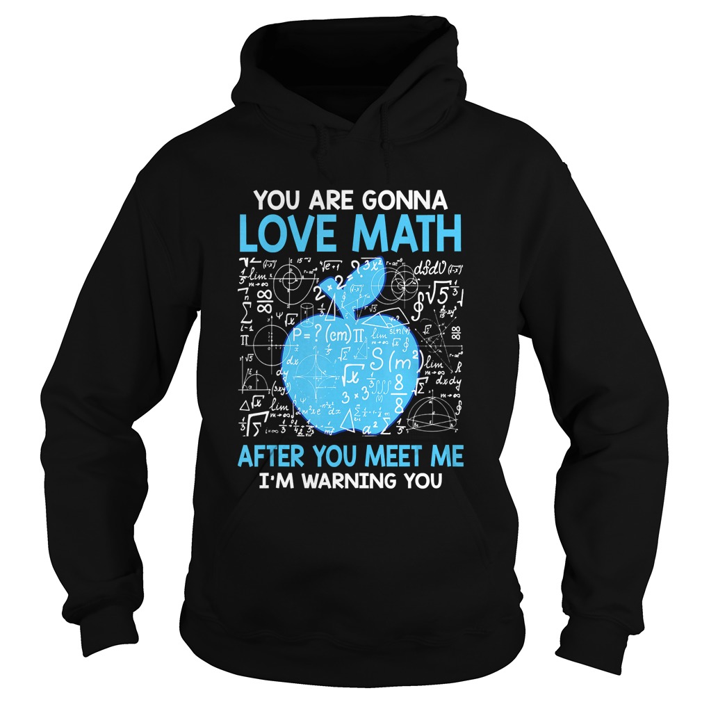 You are Gonna Love Math After You Meet Me Funny Teacher TShirt Hoodie