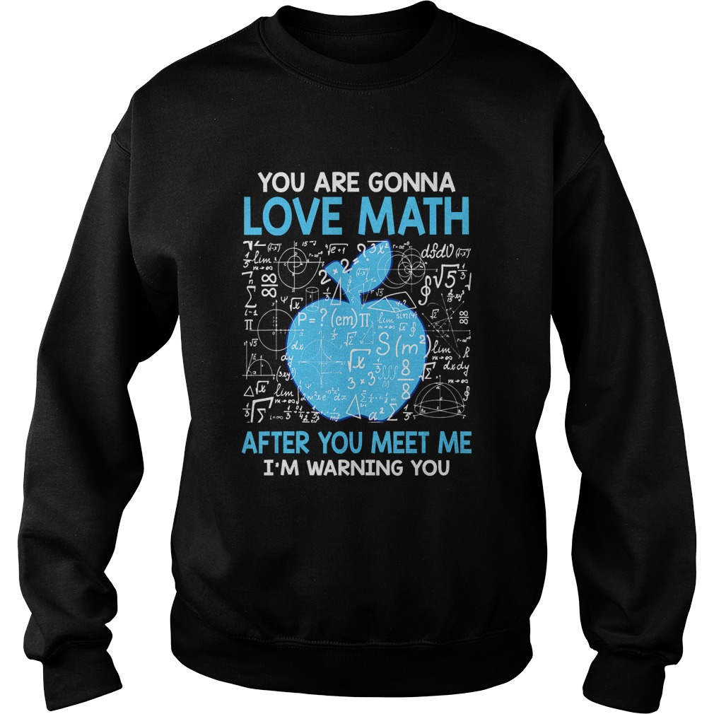 You are Gonna Love Math After You Meet Me Funny Teacher TShirt Sweatshirt