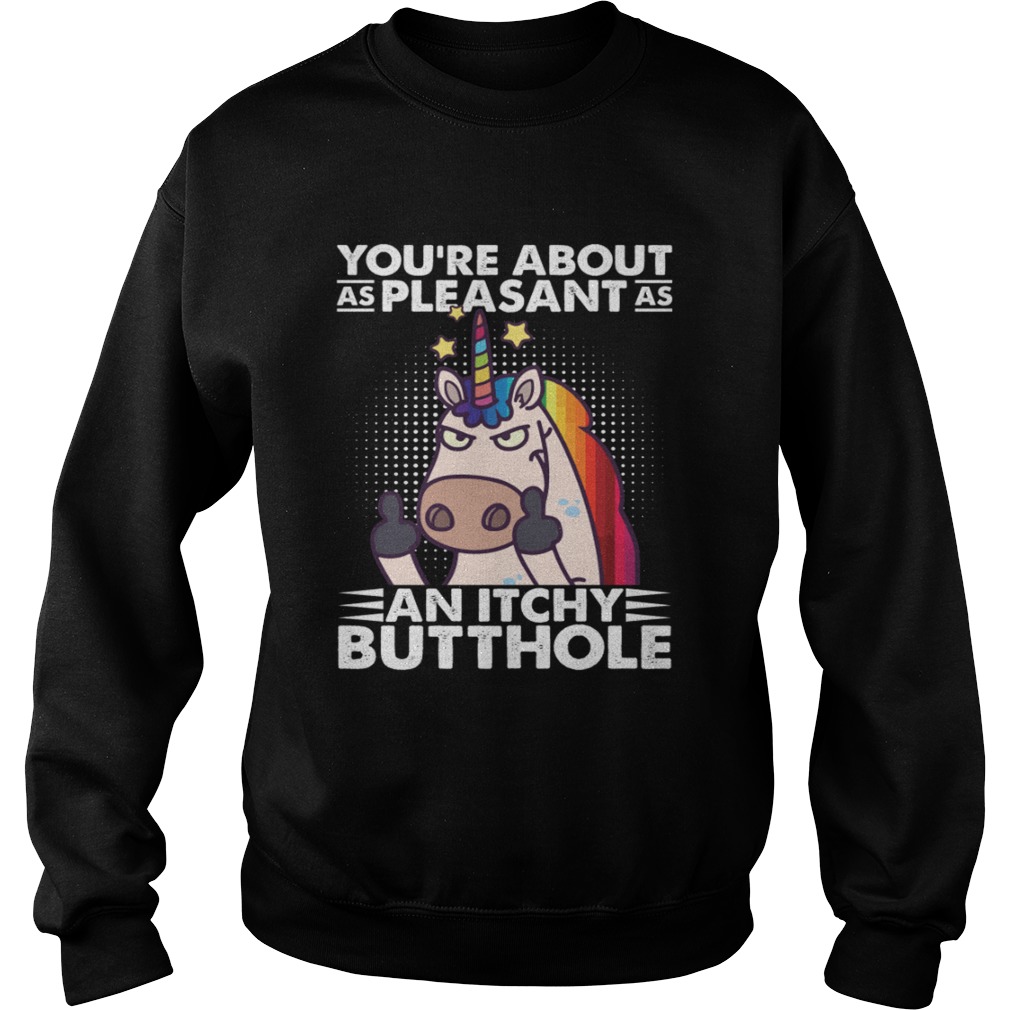 Youre About As Pleasant As An Itchy Butthole Funny Sassy Unico Sweatshirt