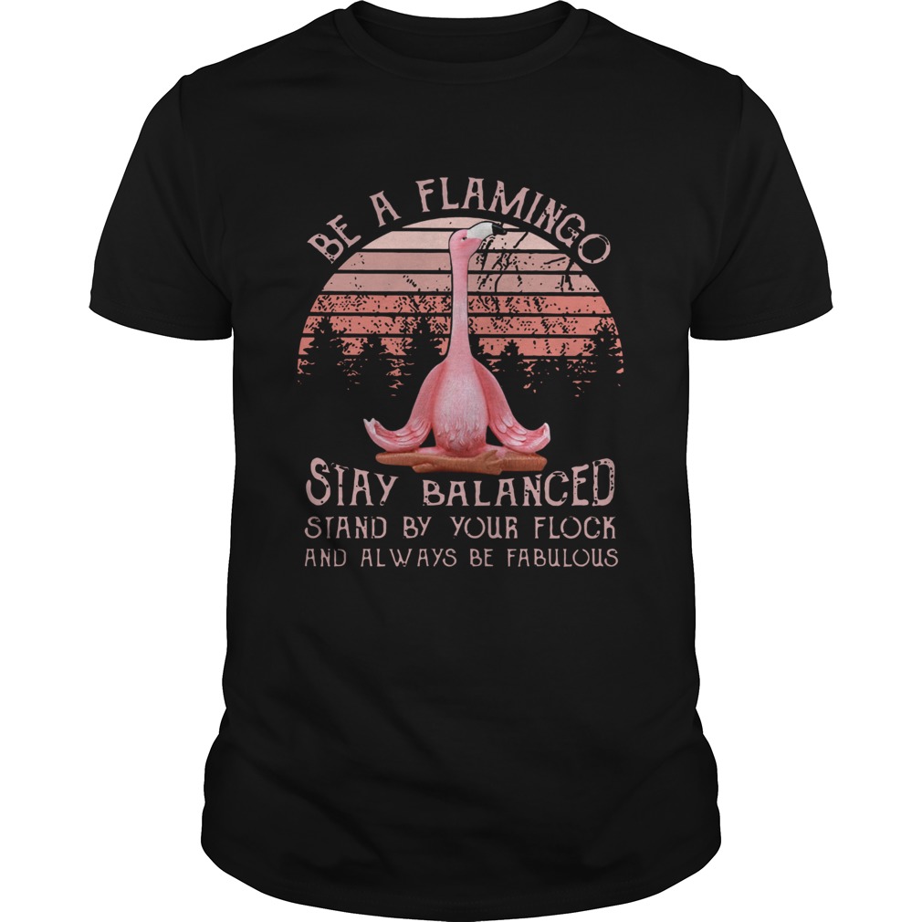 Be a flamingo stay balanced stand by your flock shirt