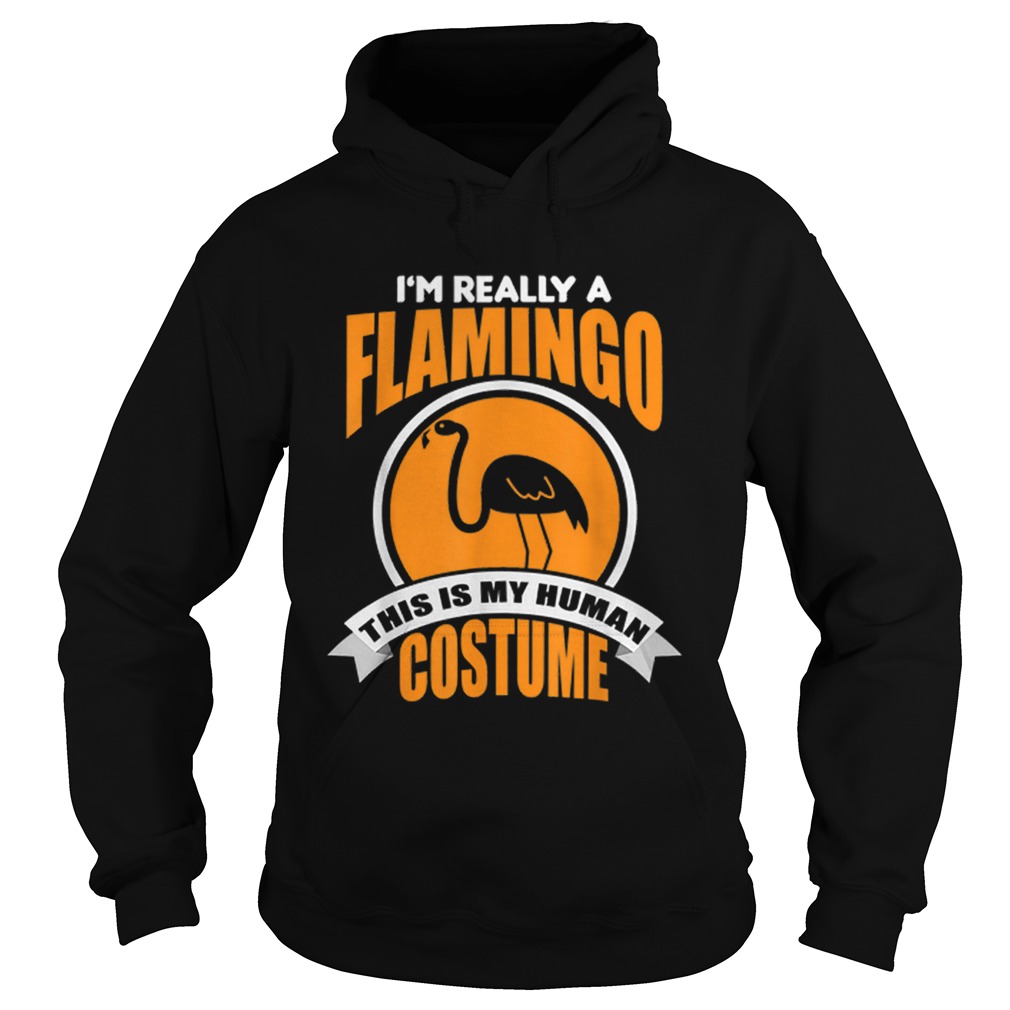 Beautiful Im Really A Flamingo This Is My Human Costume Hoodie