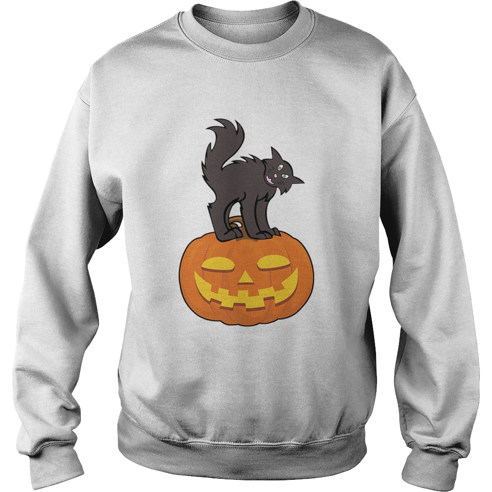 Black Cat On Pumpkin Funny Cat Lover TShirt Sweatshirt