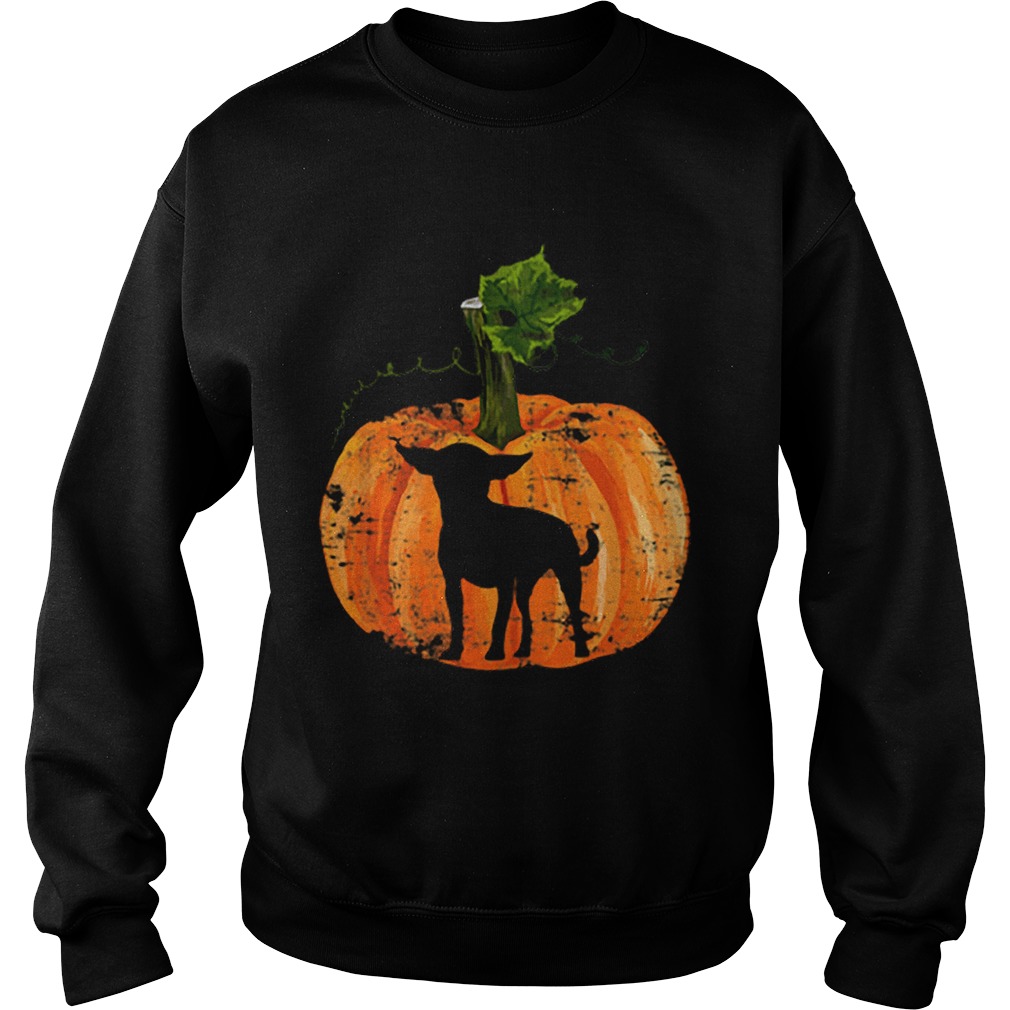 Chihuahua Inside Pumpkin Halloween Sweatshirt