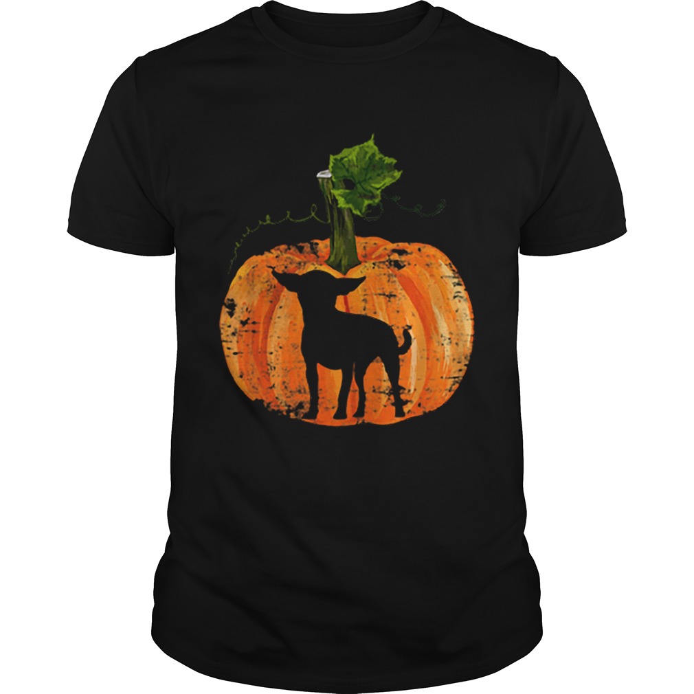 Chihuahua Inside Pumpkin Halloween shirt