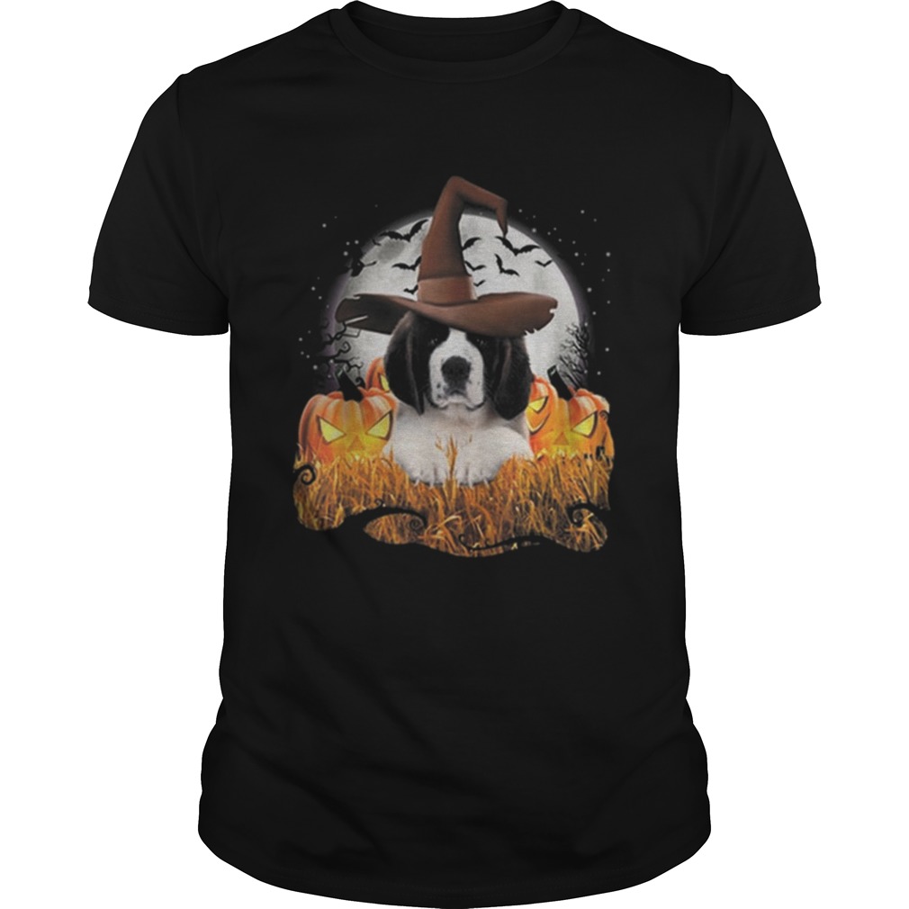 Cute Saint Bernard dog witch on Halloween pumpkin shirt