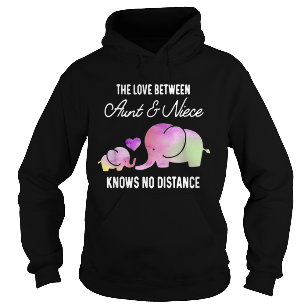 Elephants the love between aunt and niece knows no distance Hoodie