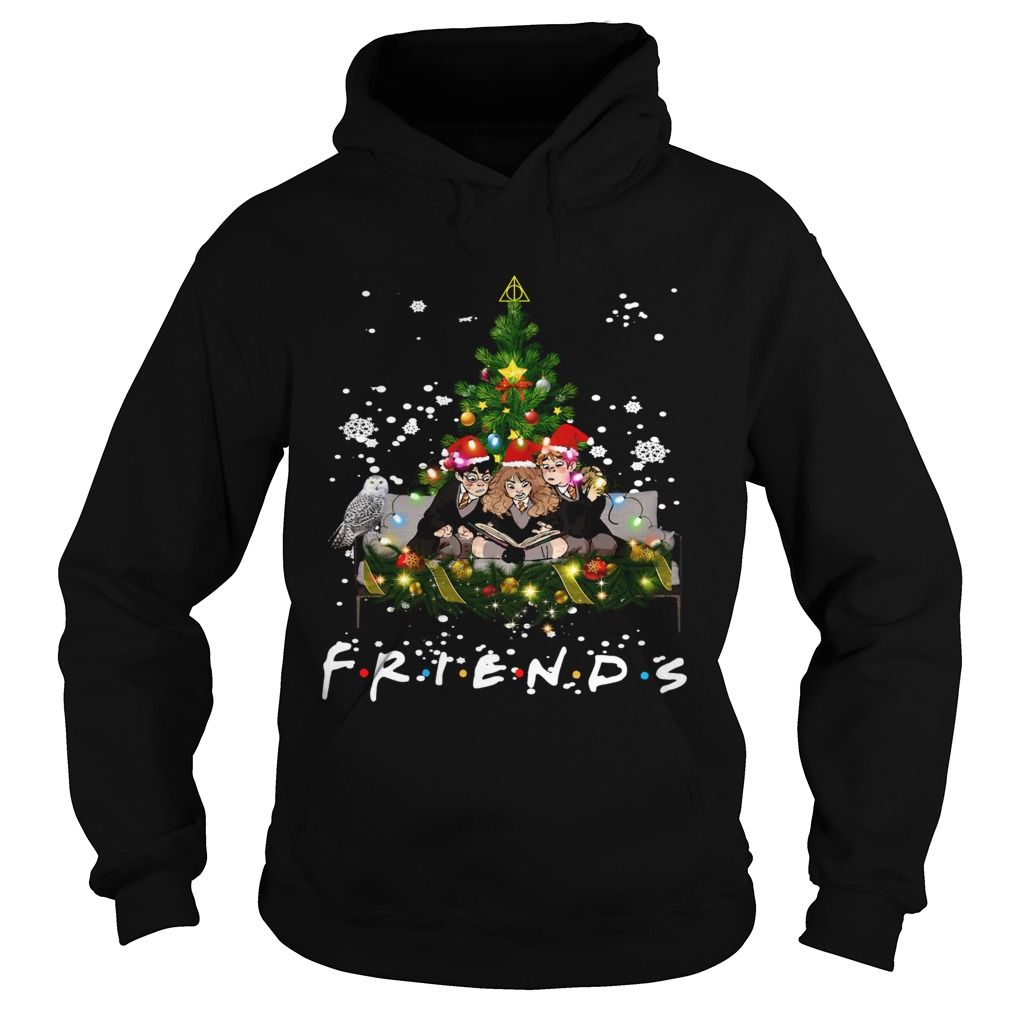 Friends Harry Potter Hermione Ron Christmas Hoodie