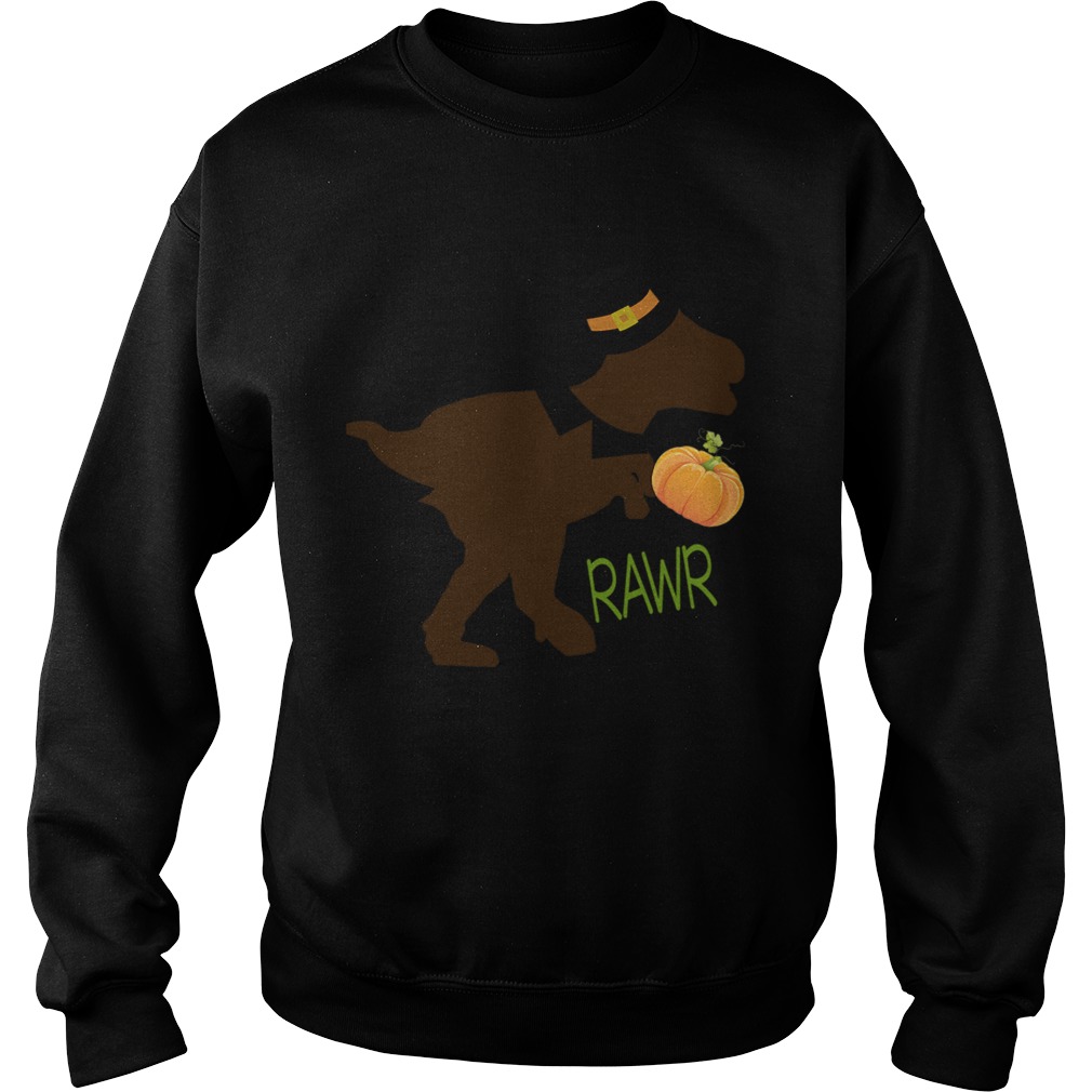 Halloween Dinosaur Rawr Cute Trex Lover TShirt Sweatshirt