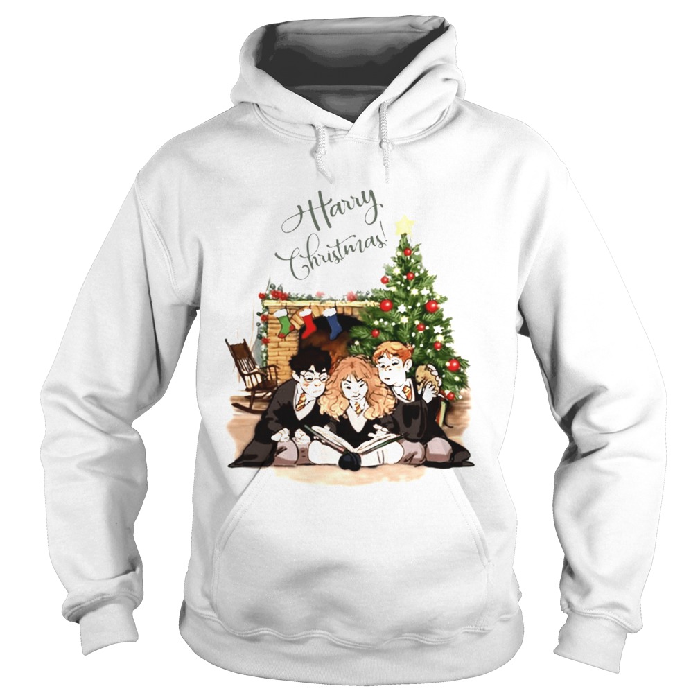 Harry Potter characters Harry Christmas Hoodie