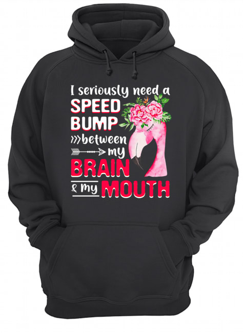 I Seriously Need A Speed Bump Between Brain And Mouth T-Shirt Unisex Hoodie