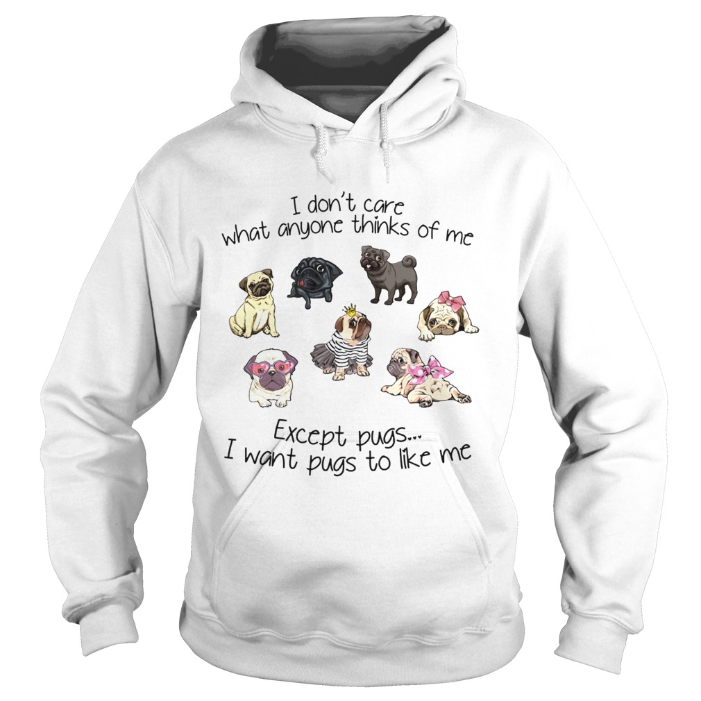 I dont care what anyone thinks of me Except Pugs I want Pugs to like me Hoodie