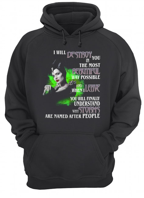 Maleficent I will Destroy you in the most beautiful way possible Unisex Hoodie