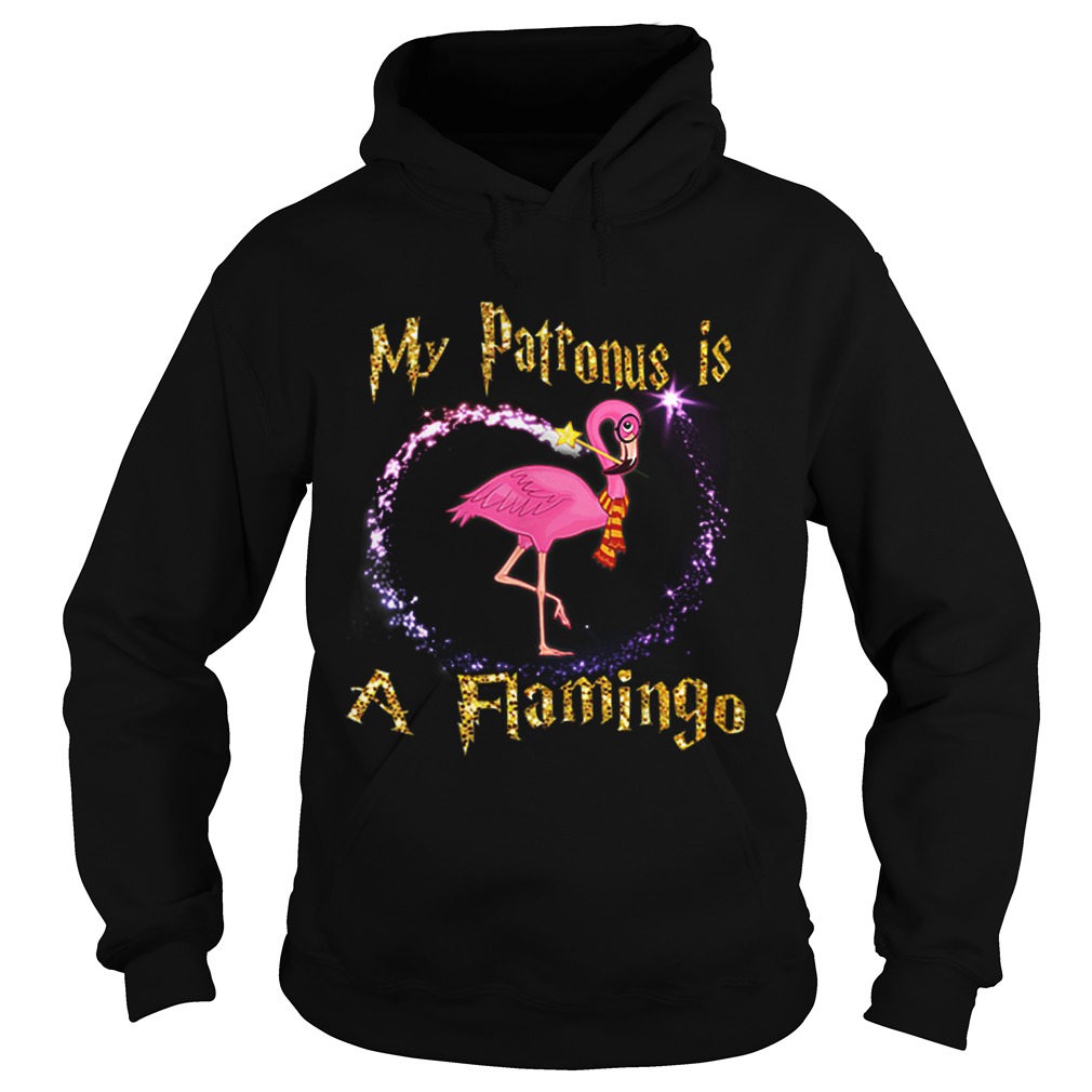 My Patronus Is a Flamingo Magic Gifts Hoodie