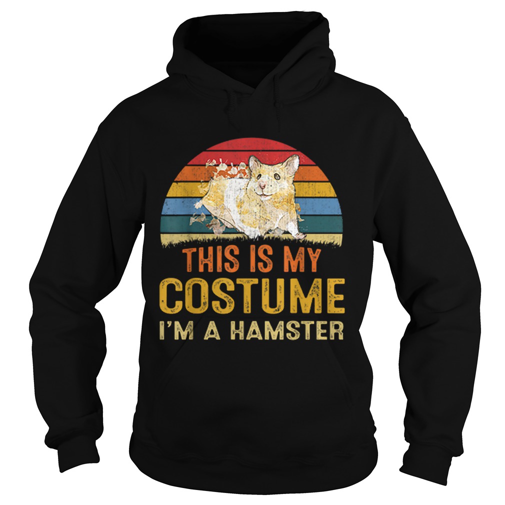 Nice This Is My Costume Hamster Vintage Halloween Hoodie