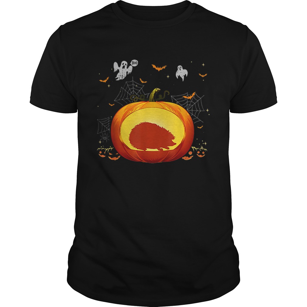 Premium Hedgehog Halloween Pumpkin Costume Cute Outfit Gift shirt