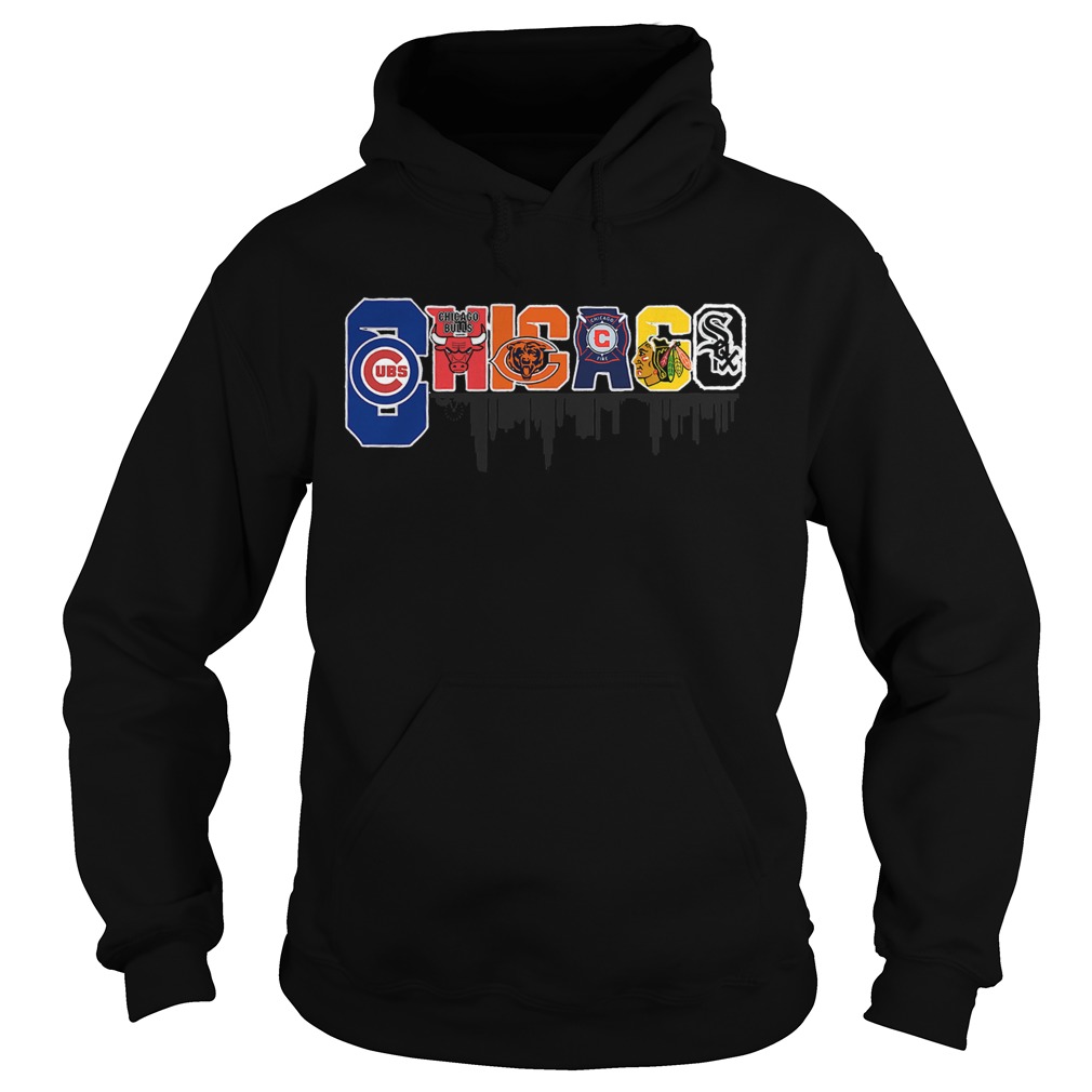Sport in Chicago City Hoodie