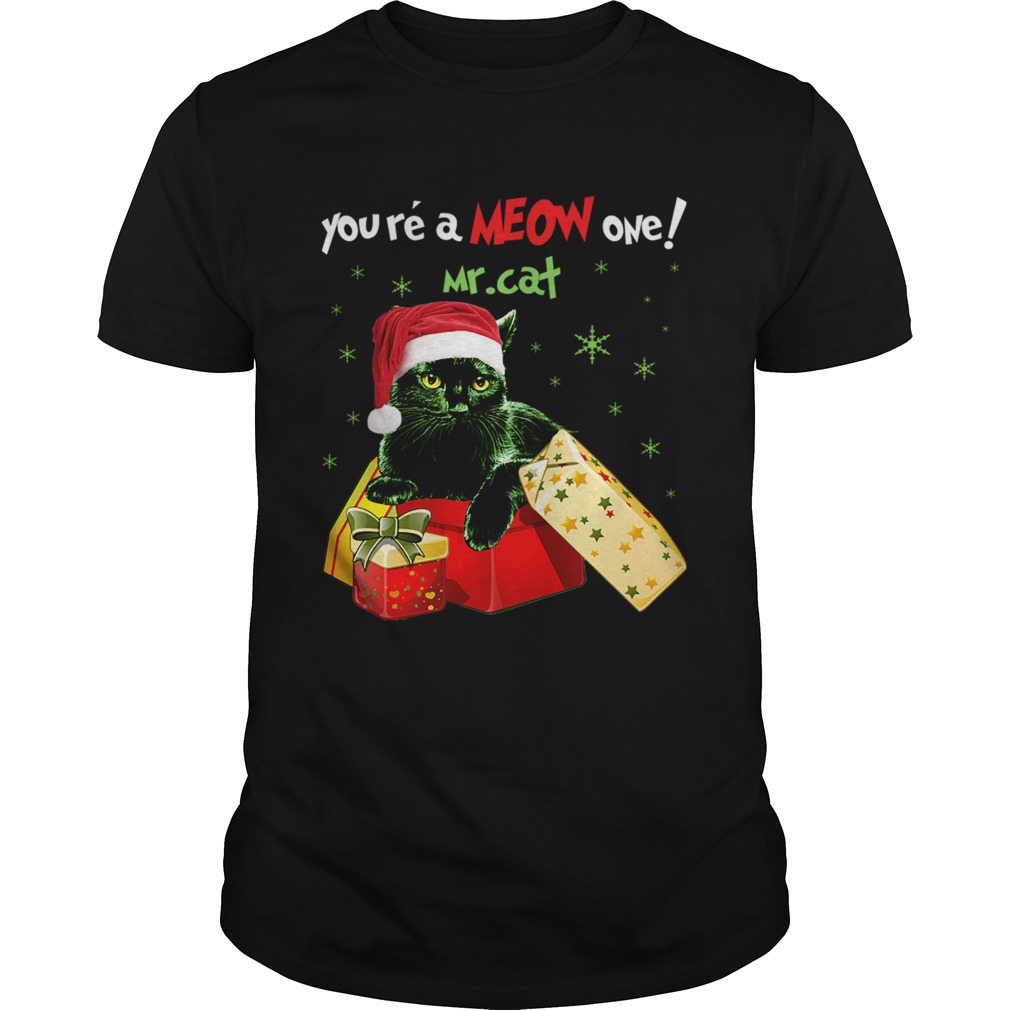 Youre A MEOW One Mr Cat Christmas Holiday Funny TShirt